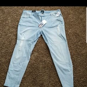 Celebrity Pink Jeans